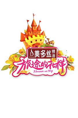 旅途的花样旅途的花样20170826期
