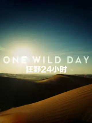 野性24小时第一季第01集