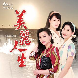 美丽人生台版第189集