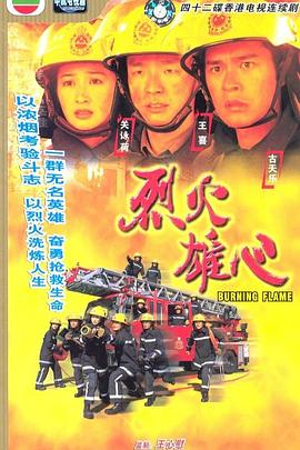 烈火雄心国语第38集
