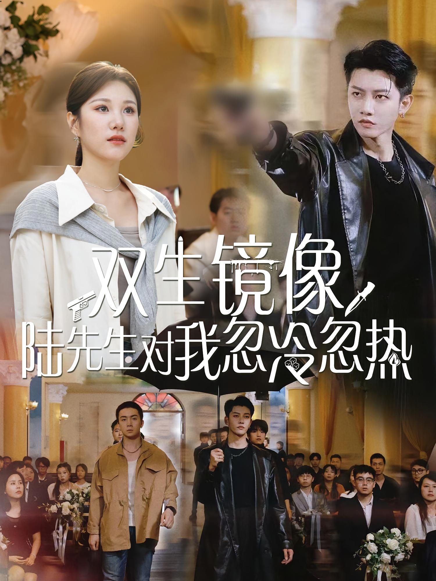 双生镜像陆先生对我忽冷忽热第26集
