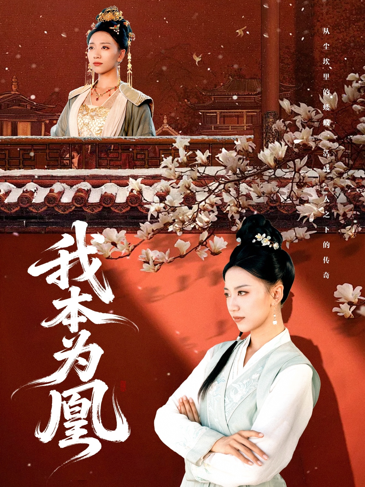 我本为凰第34集