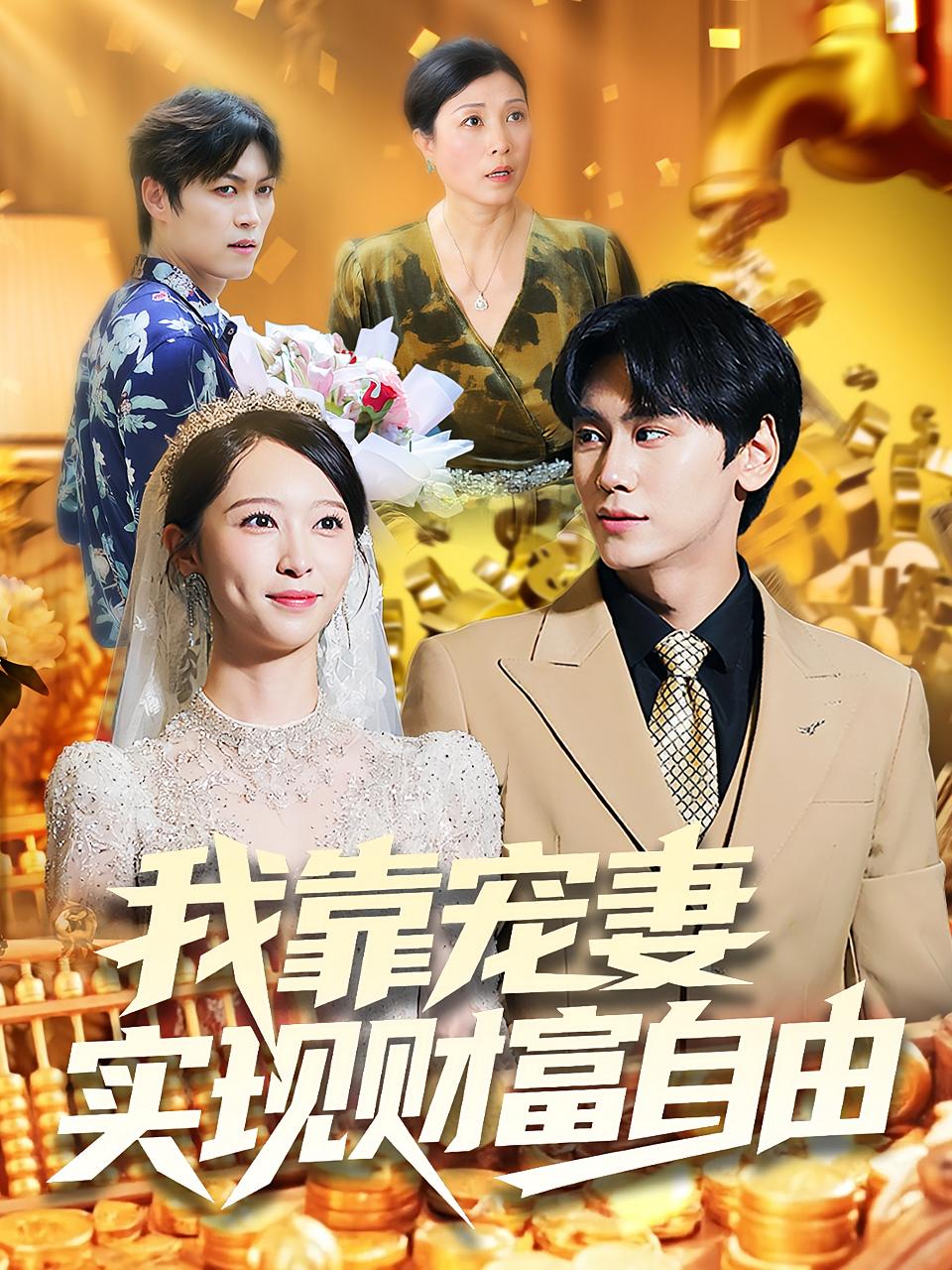 我靠宠妻实现财富自由第01集