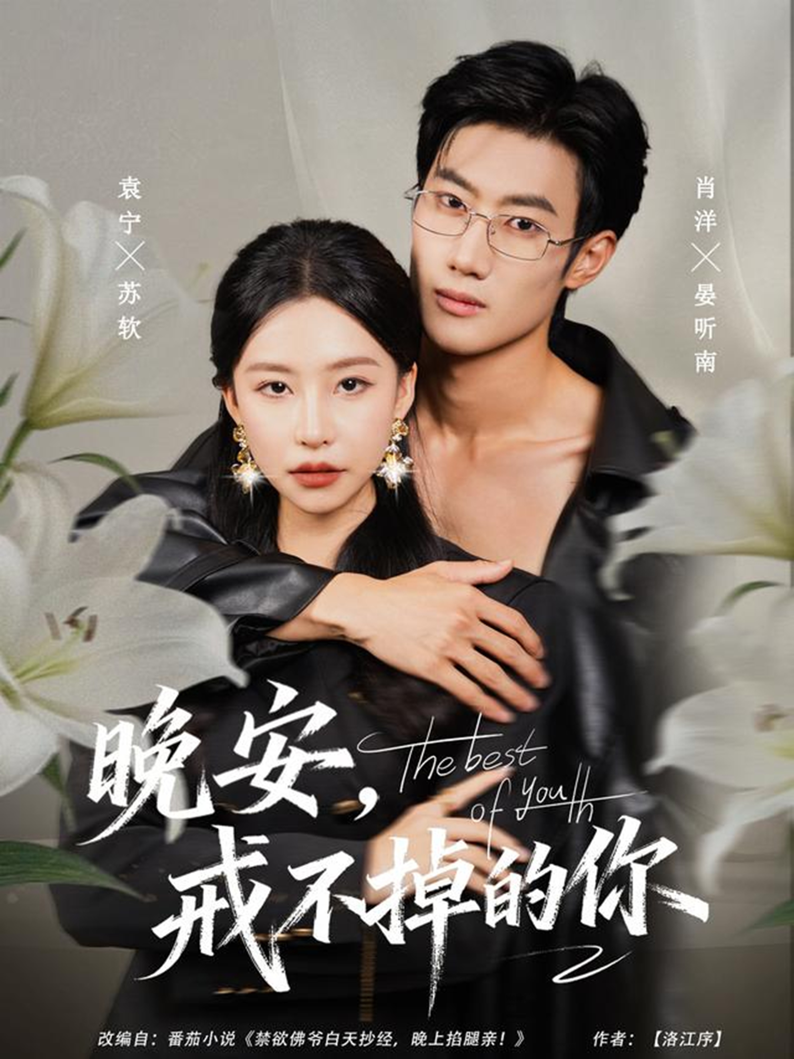 晚安，戒不掉的你第19集