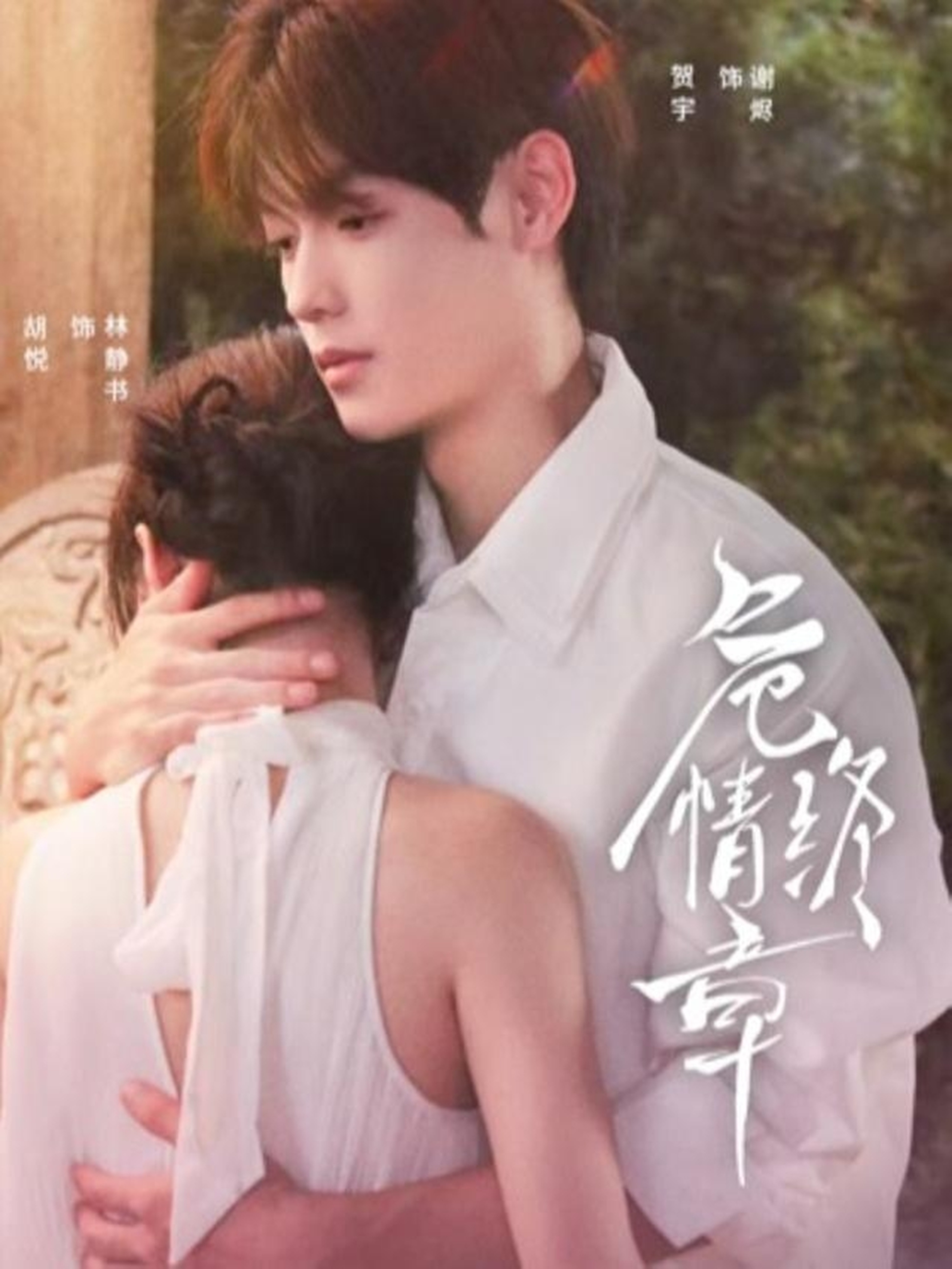 危情终章第50集