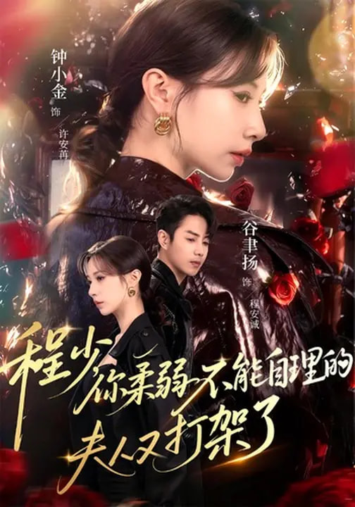 程少你柔弱不能自理的夫人又打架了第01集