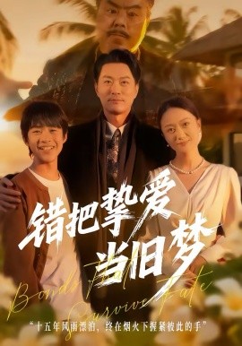 错把挚爱当旧梦第17集