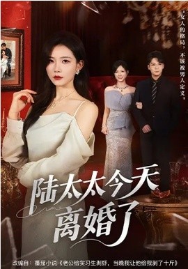 陆太太今天离婚了第01集