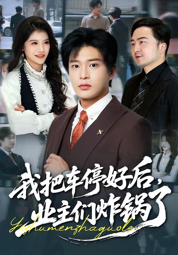 我把车停好后，业主们炸锅了第24集