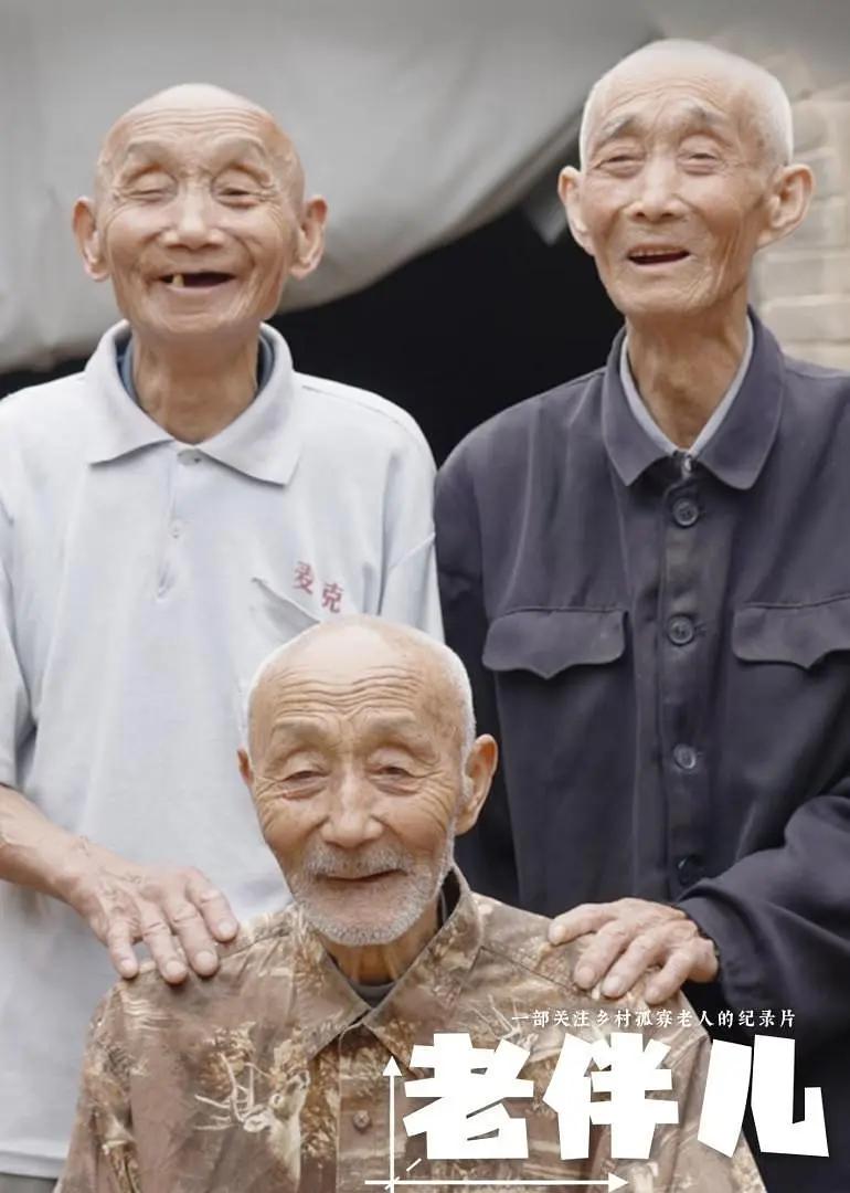 老伴儿(全集)
