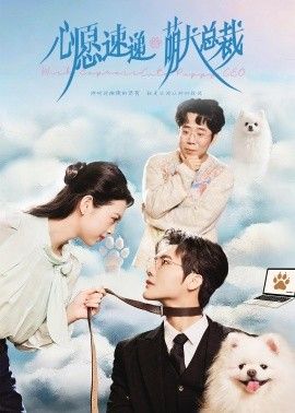 心愿速递之萌犬总裁(全集)